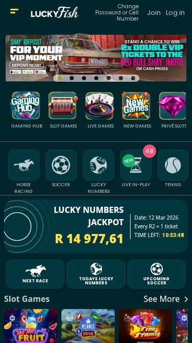 Lucky Fish mobile view